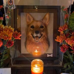 Needle Felted Framed Pet Portrait for Dog